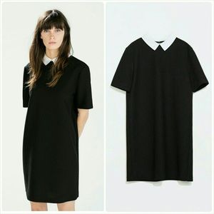 Collar dress